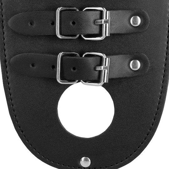 Shots Leather Penis Cage in Black Color
