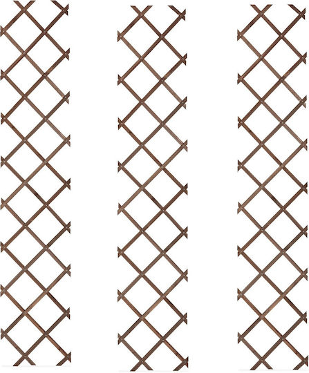Set 3 Spaliere Extensibile pentru Plante Relaxdays Lemn Dimensiuni 180 X 30 X 1.5 Cm Maro