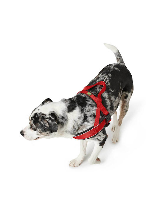 Ham Hunter Racing L-XL Negru