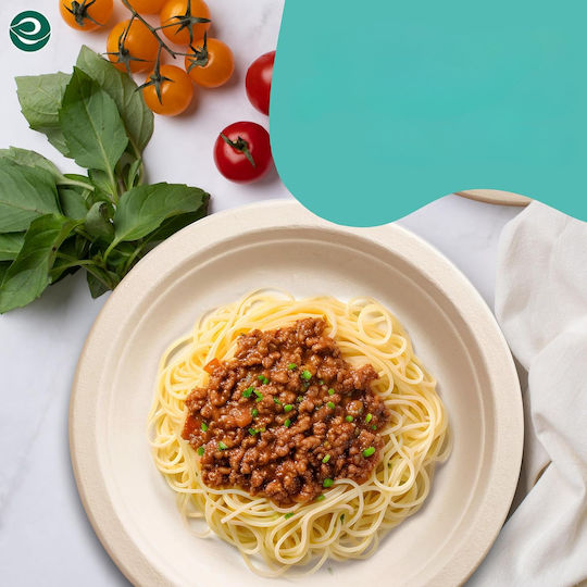 Einwegteller aus Papier Grill Kuchenplatte Eco 25 cm 10 Stück