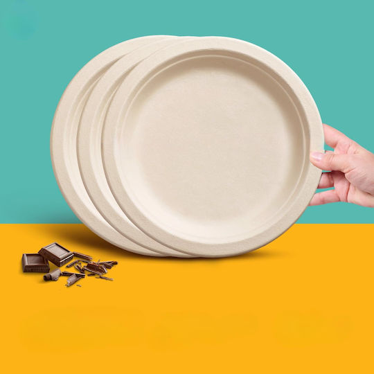 Einwegteller aus Papier Grill Kuchenplatte Eco 25 cm 10 Stück