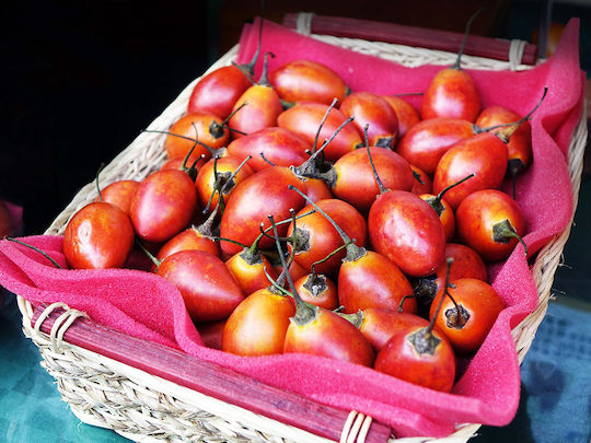 Seeds Tomatoς 100pcs