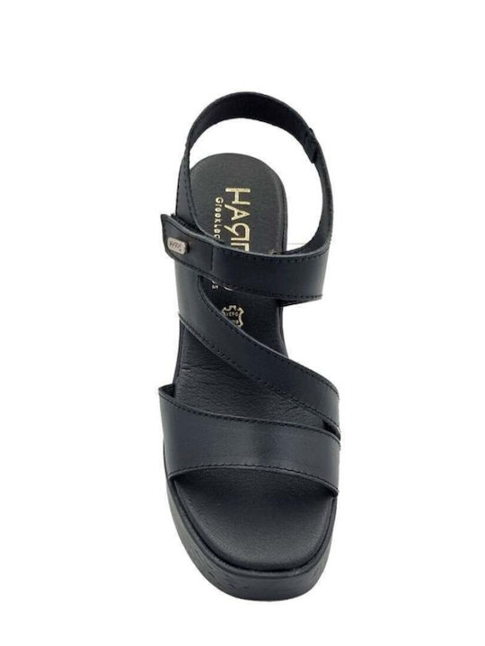 Leather Sandals Anatomic Black