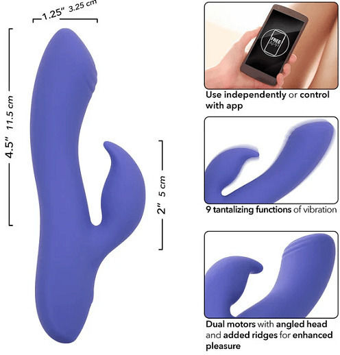 Calexotics Calex Connect Dual Stimulator Clitoral Stimulation G Spot Vibrator 2-in-1 Dual Vibrator App Purple