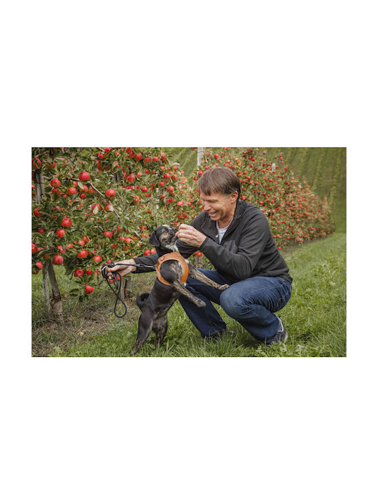 Curli Hundegeschirr Leder Braun X-klein PN3117