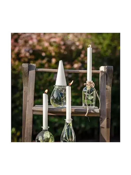 Glass Vase 14x7cm Beauty Home