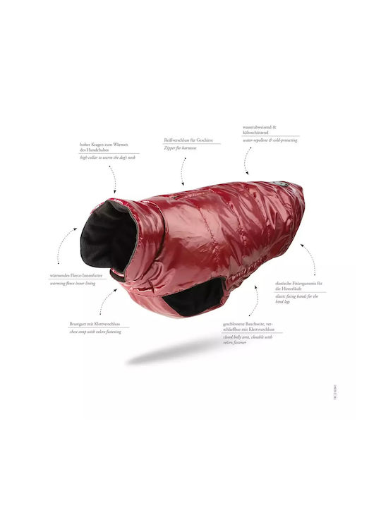Hunter Black Dog Coat with 45cm Back Length