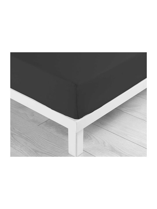 Sheet Super-Double with Elastic 160x200+30cm. L-c Lina Black