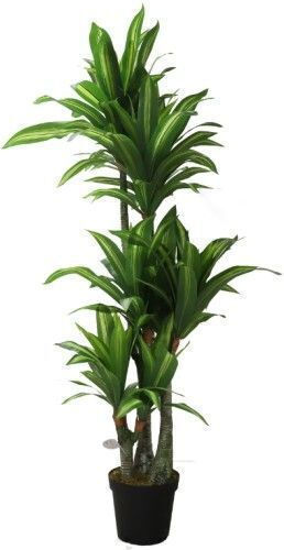 Arbore Artificial de Exterior Dracaena Green 185cm Gardin