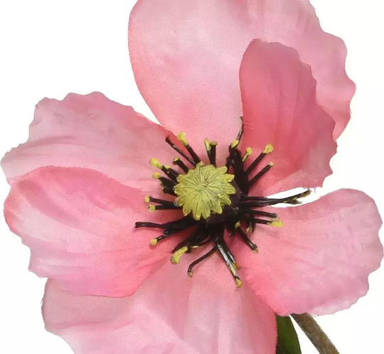 Παπαρουνα Ροζ 71 Cm Beauty Home