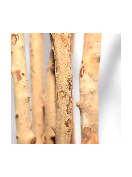 Arbore Artificial de Exterior Dracaena Brown 180cm Newplan