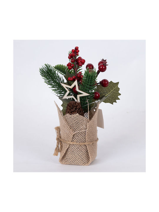 Display Box Γλαστρακι Αστερακι Κοκκινα Berries 12tmx 22cm Display Box Γλαστρακι Αστερακι Κοκκινα Berries 12tmx 22cm