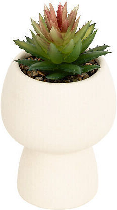 Ghiveci Cactus din Ceramică/3 Culori Φ10x17cm