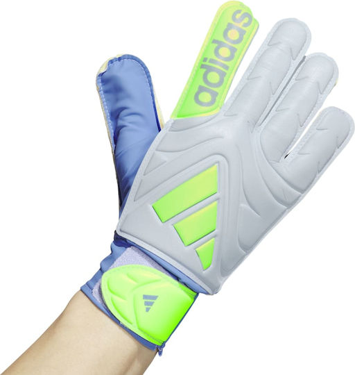 adidas Copa Adults Goalkeeper Gloves Blue