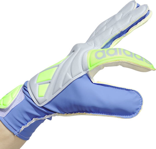 adidas Copa Adults Goalkeeper Gloves Blue