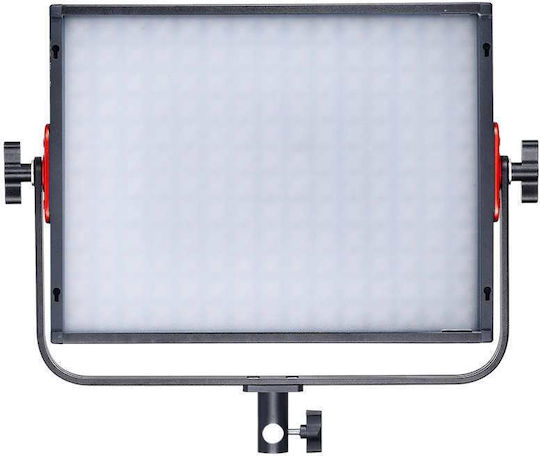 Jinbei 80W