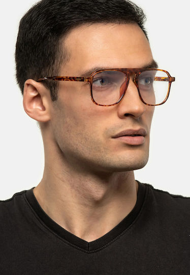 Kalispel Classy Tortoise
