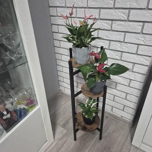 Ruhhy Blumentopfständer Metall Schwarz 27cmx27cmx81cmcm.