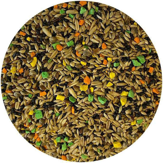 Mâncare Gourmet pentru Canari, Amestec de Semințe, 20kg
