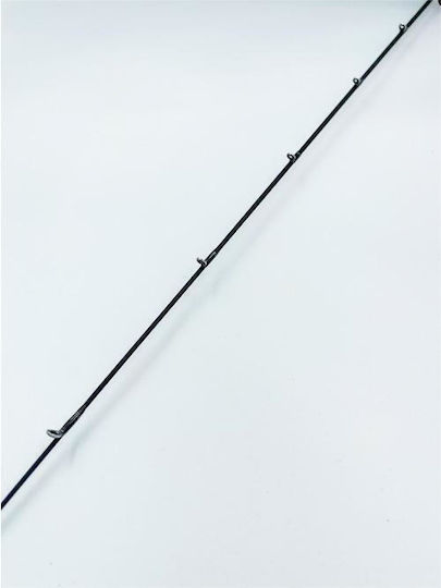 Lemax Japan Evo Καλάμι Ψαρέματος για Jigging 1.9m 150gr