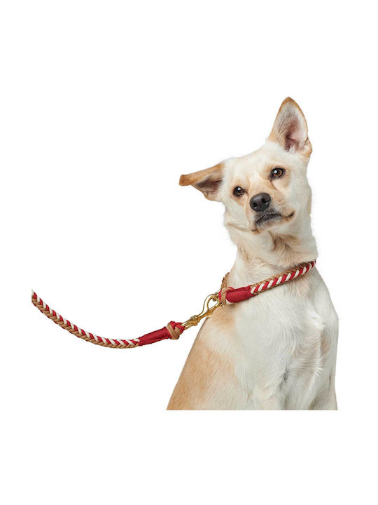 Hunter Collar Tinnum M Red Beige