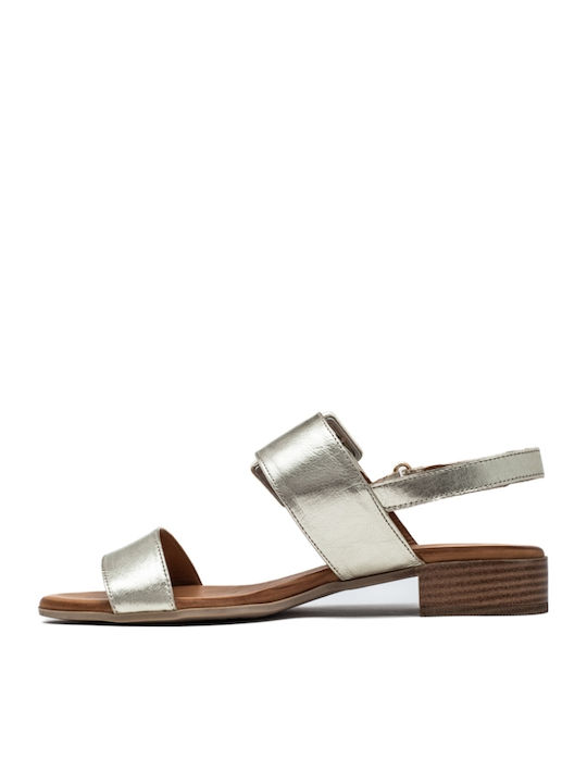 Leather Sandals Anatomic Gold