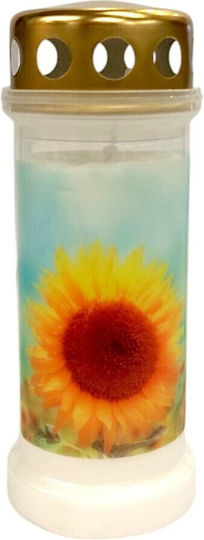 Bolsius Long-lasting Candle 70 Hours Lid Sunflower Box 12pcs