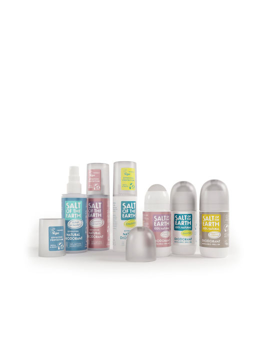 Salt of the Earth Nachfüllflüssigkeit für Diffuser mit Duft Lavendel/Vanille 500ml