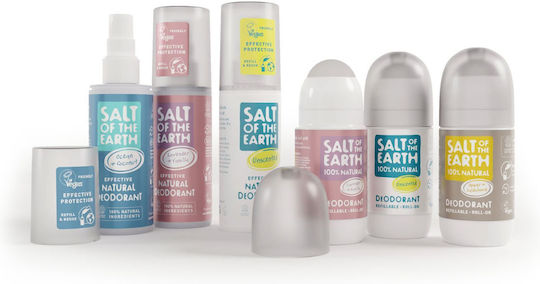Salt of the Earth Nachfüllflüssigkeit für Diffuser mit Duft Lavendel/Vanille 500ml