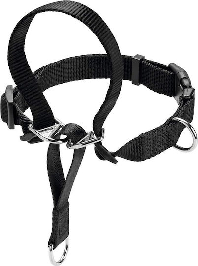 Hunter Follow Me Education Training Lead Medium