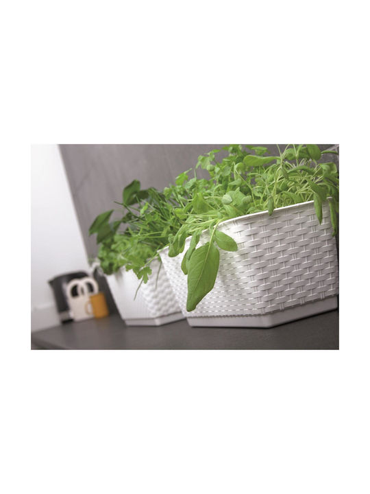 Set 4 Ghivece Decorative Mercaton Imitatie Ratan Alb 59x15.4x14.2 Cm