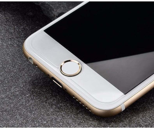 Tempered Glass (iPhone 11 Pro / X / XS)