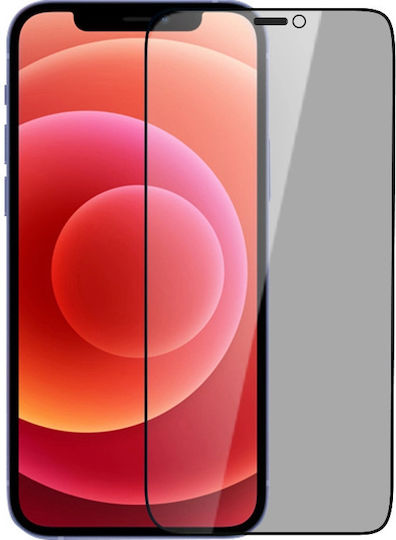 5D Full Glue Privacy Matte Full Face Tempered Glass Black (iPhone 12 Pro Max)