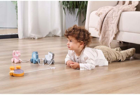 Viga Toys Ζωάκι από Ξύλο για 18+ Μηνών