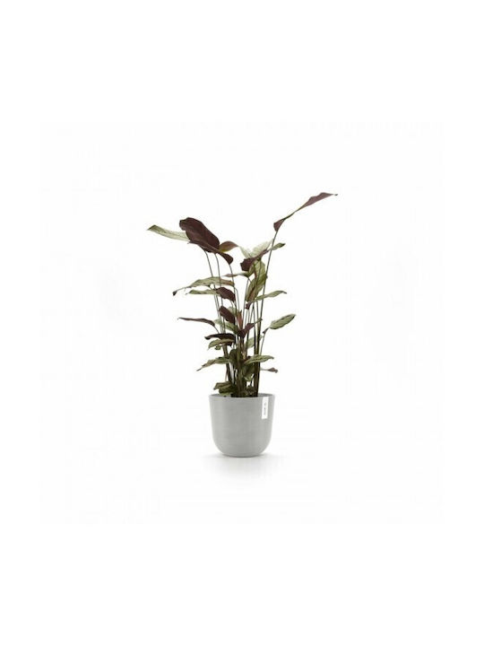 Ecopots Oslo Γλάστρα Πλαστική White Grey 25x25x21.8εκ.