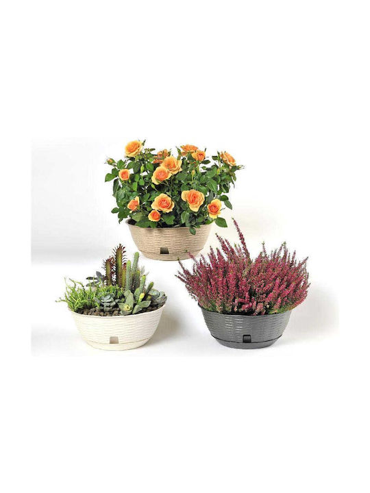 Bama Pot Round Pot Plastic White 31x31x13cm.