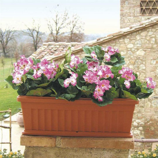 Bama Planter Box Plastic Dark green Bama Planter Box Plastic Dark green