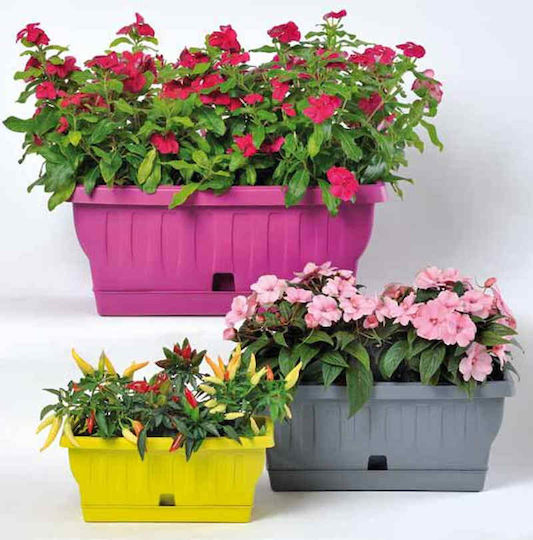 Bama Planter Box Plastic Lime Green Bama Planter Box Plastic Lime Green