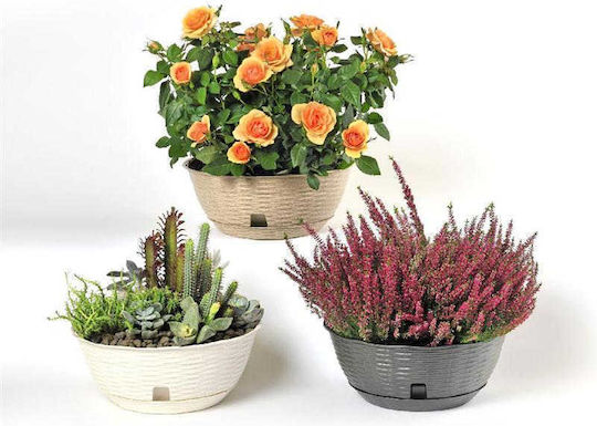 Bama Pot Plastic Fuchsia Bama Pot Plastic Fuchsia