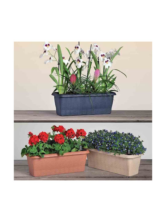 Bama Self-watering Planter Box Plastic Straw 40x20x17.5cm.