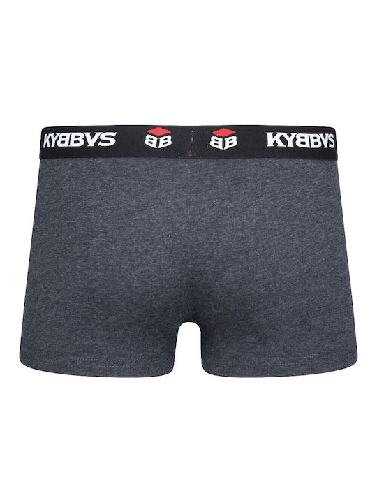 Kybbvs