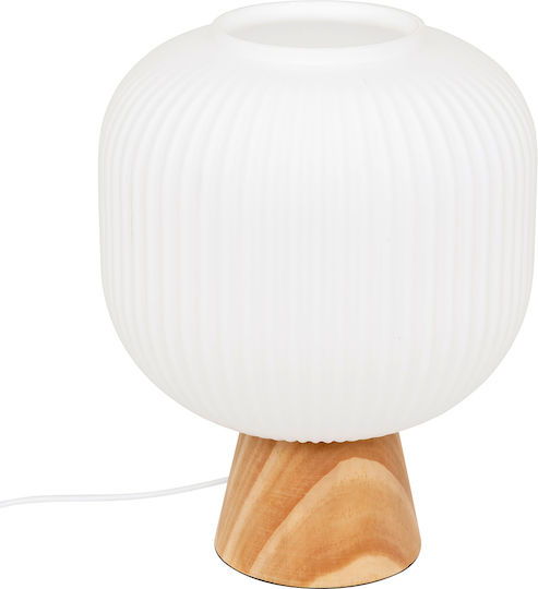 Lumină Decorativă