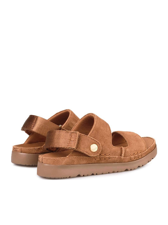 Παιδικά Πέδιλα Goldenstar Καφέ