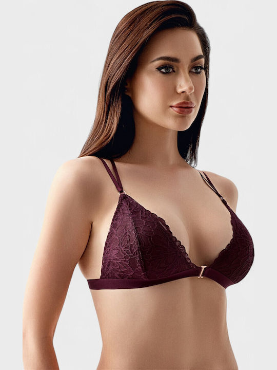 New Bra Lingerie New Bra Lingerie