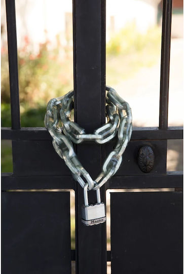 Master Lock Ατσάλινο Λουκέτο Πέταλο με Κλειδί 45mm Ασημί