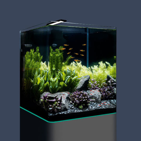 Dennerle Nano Cube Complete Fisch-Aquarium mit Kapazität von 60Es mit 38x38x43cm Schwarz