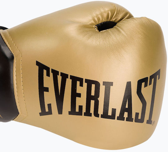 Everlast Elite II Boxing Gloves for Match Gold