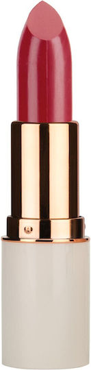 MD Professionnel Lipsticks 69 5gr