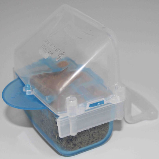 Moldes Ave Bird Feeder