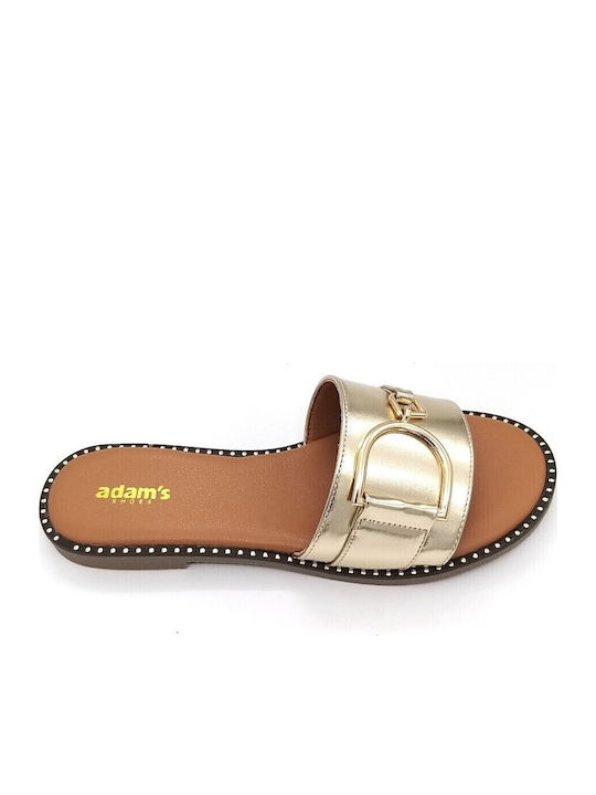Adam's Shoes